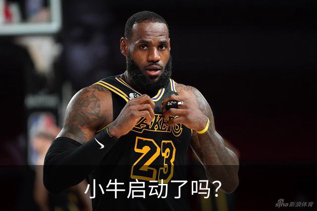 小牛启动了吗？